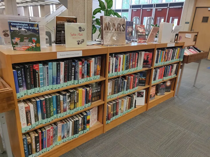 Photo d’origine : Rayonnages de bibliothèque garnis de livres, avec quelques ouvrages présentés sur le dessus.